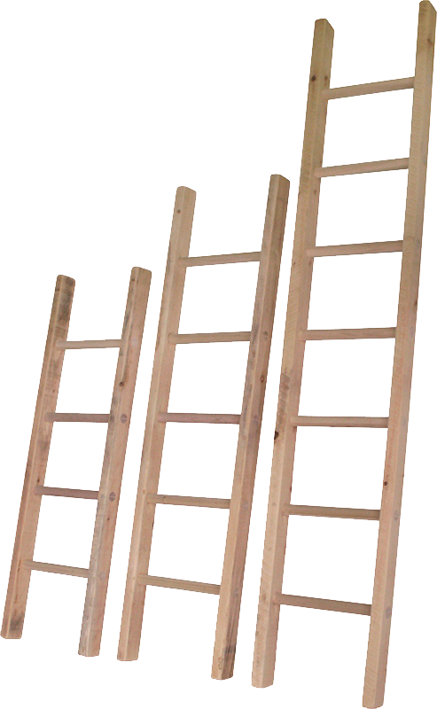 Rustic Ladder