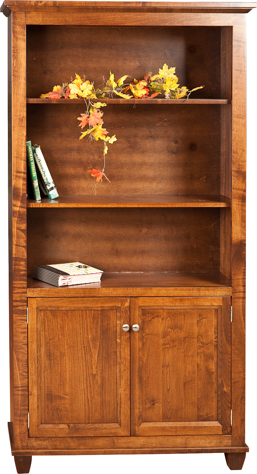 Algonquin Bookcase with Doors Finished in Brown Maple